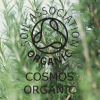Absolute Aromas Organic Rosemary Essential Oil 10ml - Image 4