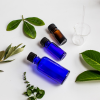 Absolute Aromas Cedarwood Atlas Essential Oil 10ml - Image 3
