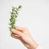 Absolute Aromas Organic Rosemary Essential Oil 10ml - Image 3