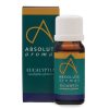 Absolute Aromas Eucalyptus Essential Oil 10ml