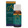 Absolute Aromas Cedarwood Atlas Essential Oil 10ml